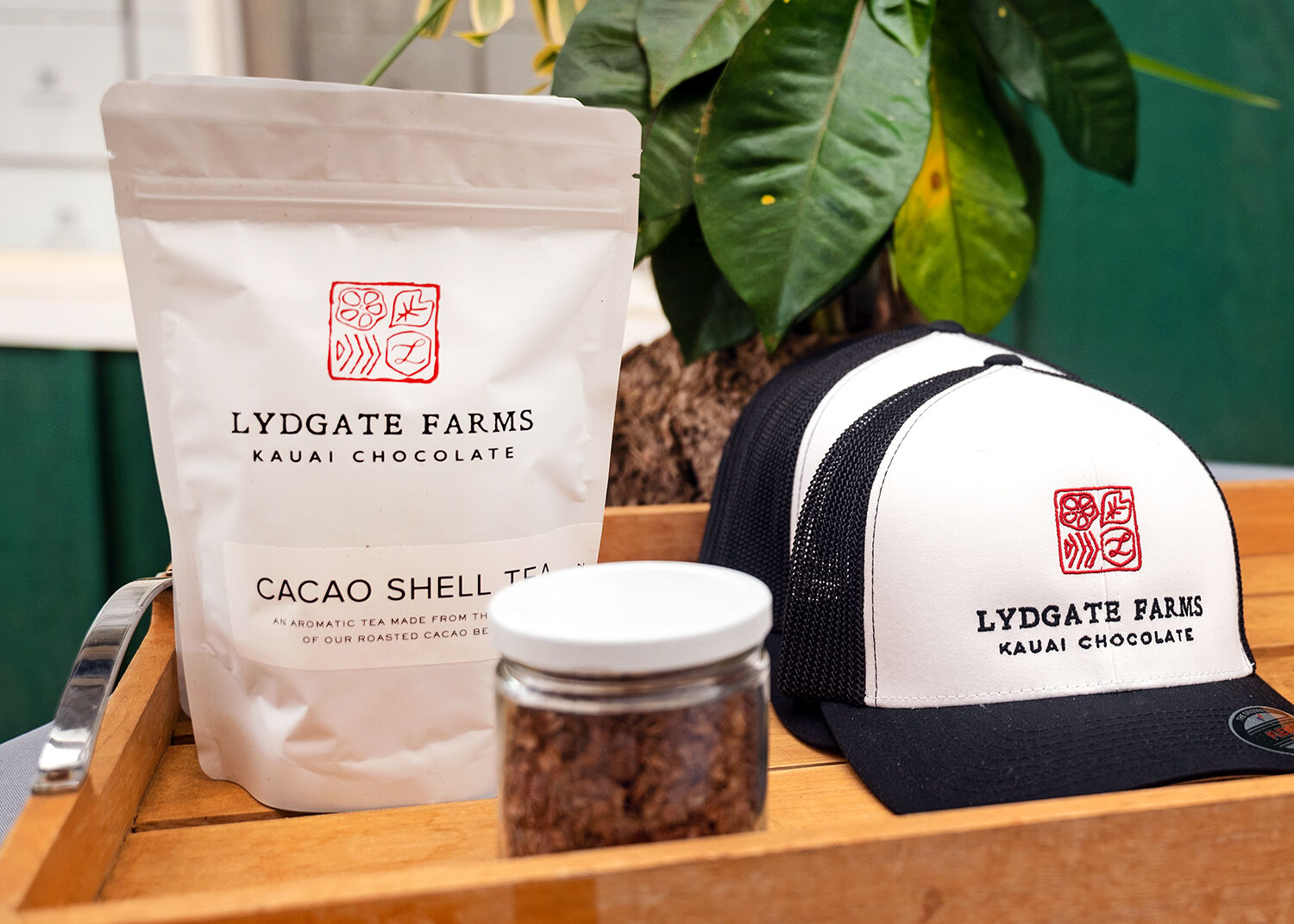 Lydgate cacao shell tea